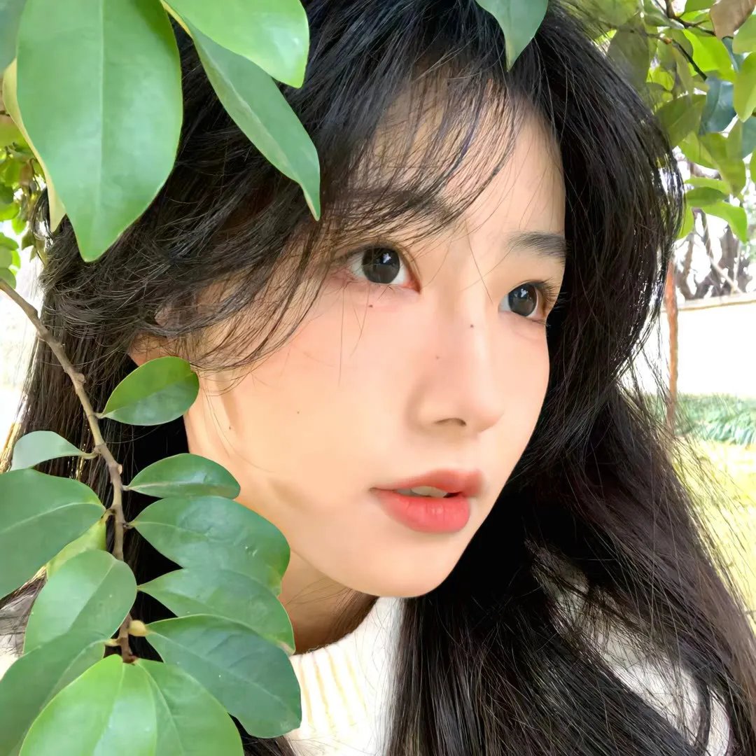 新荡女芬妮